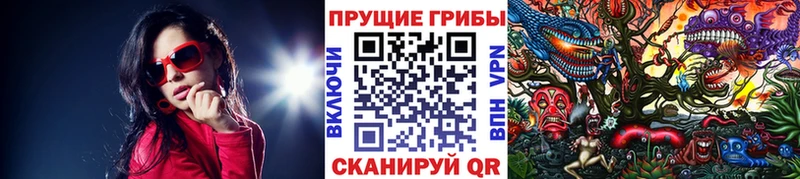 Псилоцибиновые грибы MAGIC MUSHROOMS Хотьково